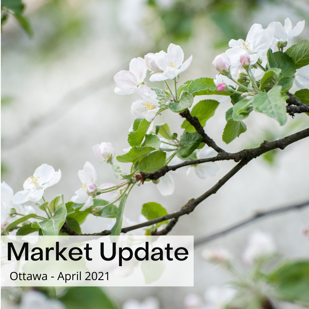 Market Update May