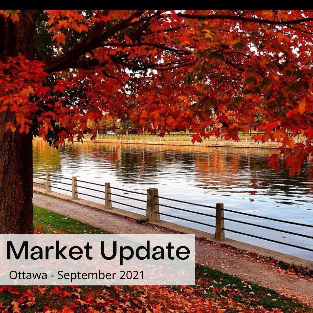 Market Update October