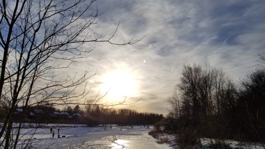 Beaver Pond in Kanata in Winter