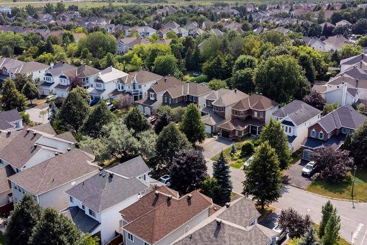 Picking the Ideal Neighbourhood Blog  ×  px