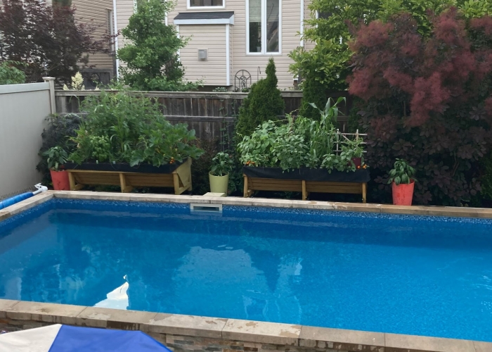 34-backyard 3 cropped