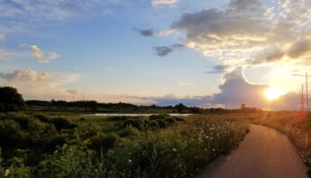Conservation park by Carp River