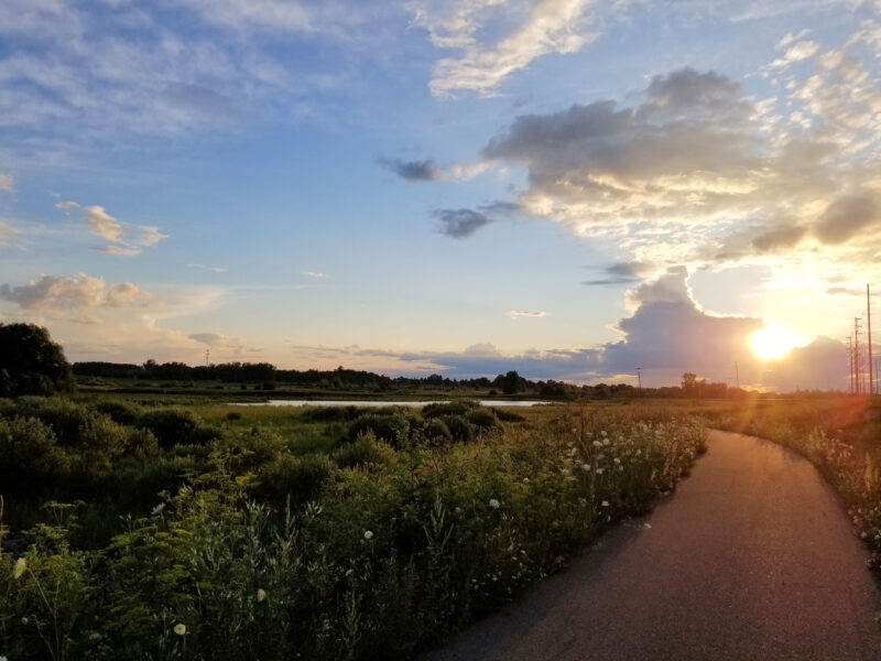 Conservation park by Carp River