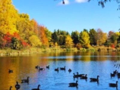 Beaverpond in Kanata, Ottawa