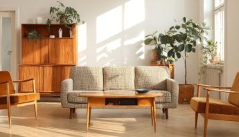 Houseplants in Living room - how to lift your spirits - blog