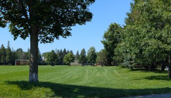August in Mattawa Park - Bridlewood, Kanata South - beautiful park and green