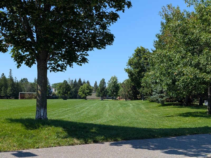 August in Mattawa Park - Bridlewood, Kanata South - beautiful park and green