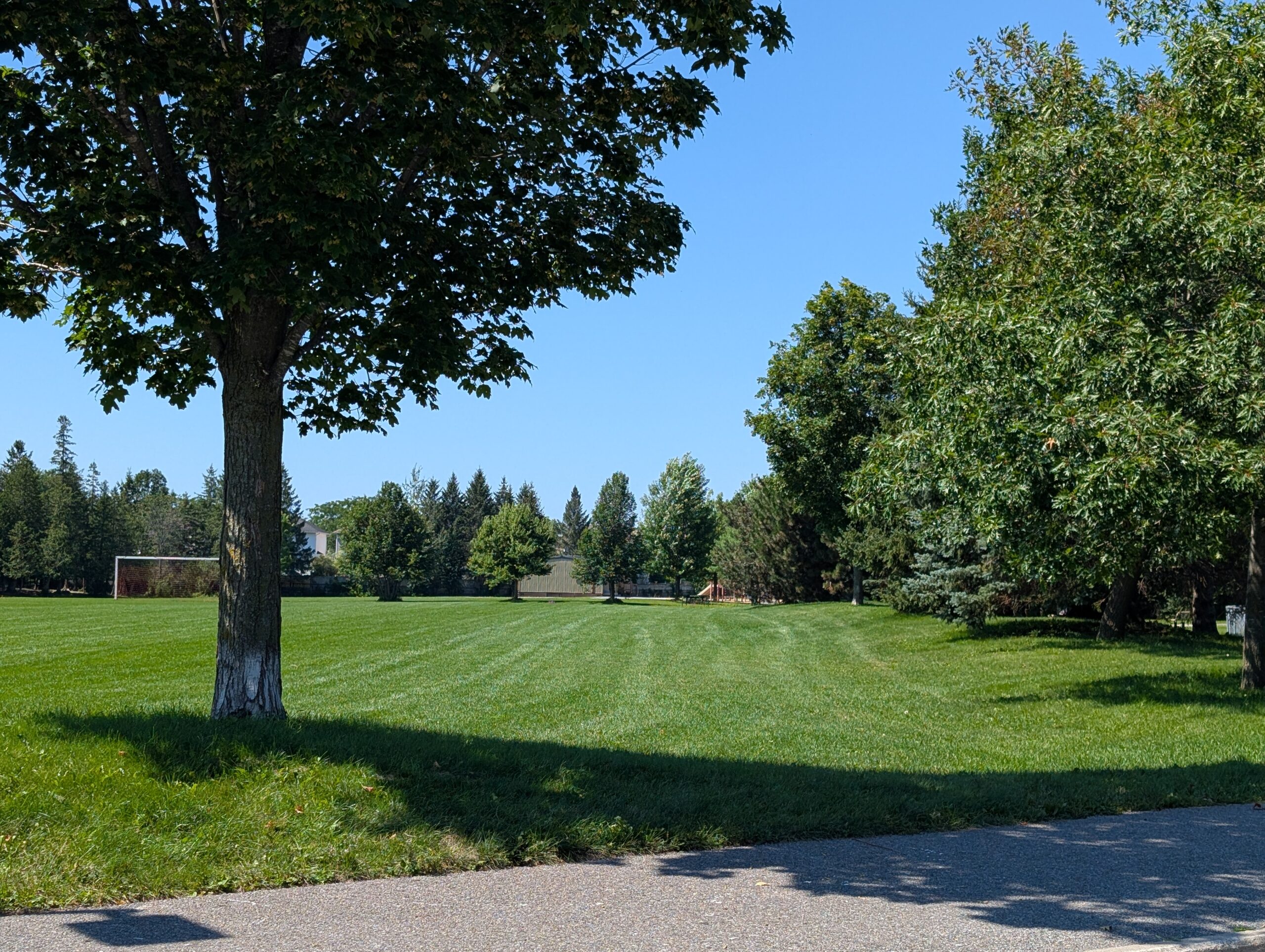 August in Mattawa Park - Bridlewood, Kanata South - beautiful park and green
