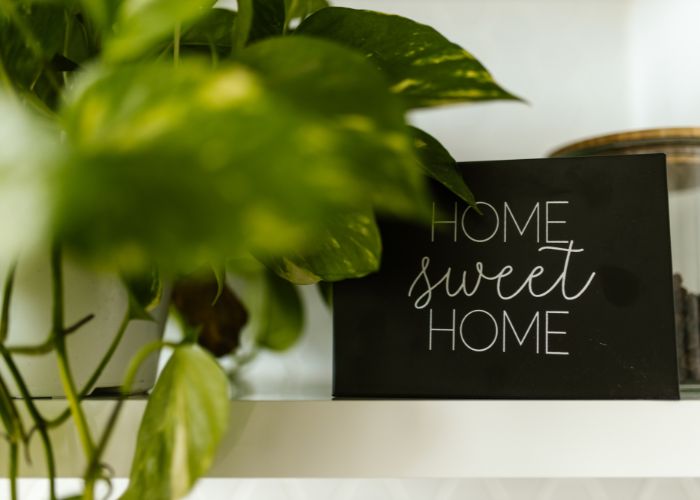 Should you buy except for home Should you buy except for home - blog - plant and sign saying home sweet home