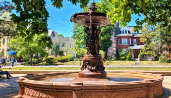Strathcona Park - view of fountain & houses in the background