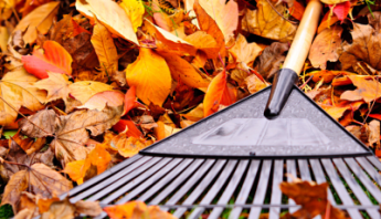 An Eco Friendly Approaxh to Fall Home Maintenance in Ottawa