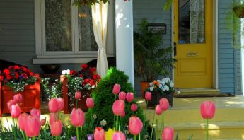 Updating an aging house blog